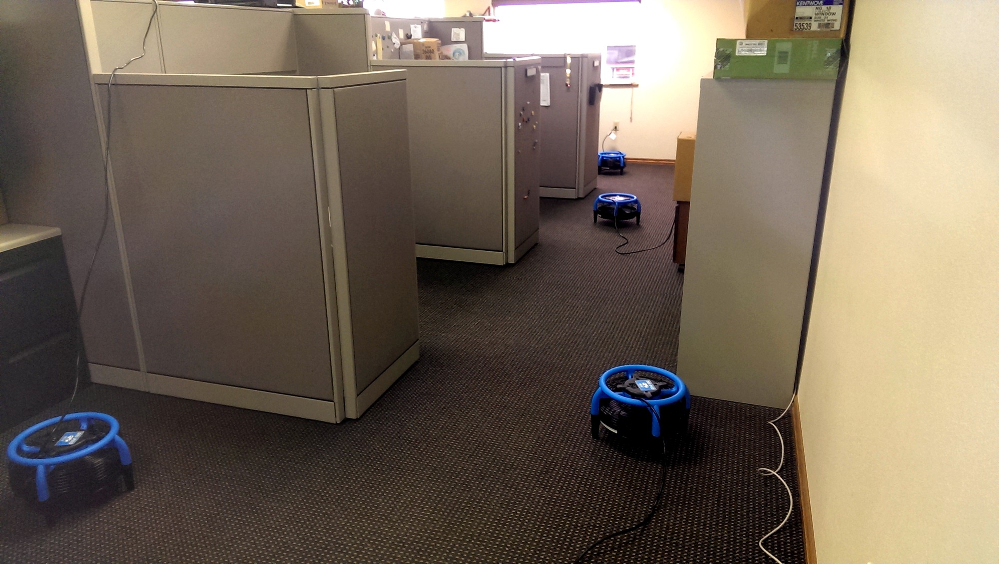 Blue Dri-Pod air movers drying commercial office carpet between cubicles