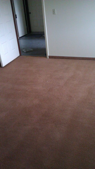 Carpet after cleaning