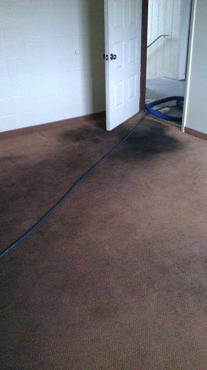 Carpet before cleaning